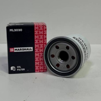 ML3030